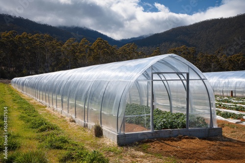 A row of modern polytunnel greenhouses for controlled environment agriculture in a rural landscape.