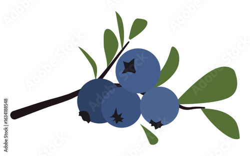 Bog bilberry with leaves. Tasty fresh bog blueberry. Flat vector illustration isolated.