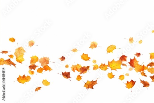 Wallpaper Mural Autumn leaves backgrounds falling plant. Torontodigital.ca