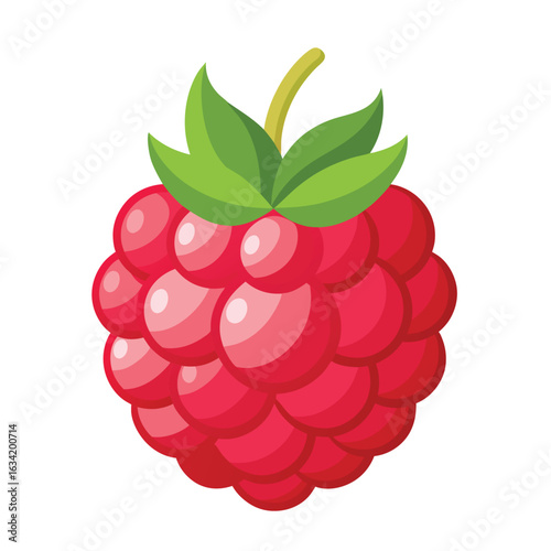 Raspberry vector illustration set. Collection of ripe raspberries isolated on background. Natural summer fruit .