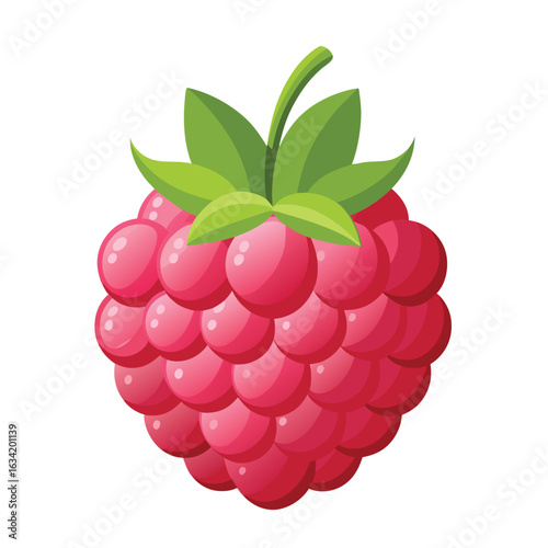 Raspberry vector illustration set. Collection of ripe raspberries isolated on background. Natural summer fruit .