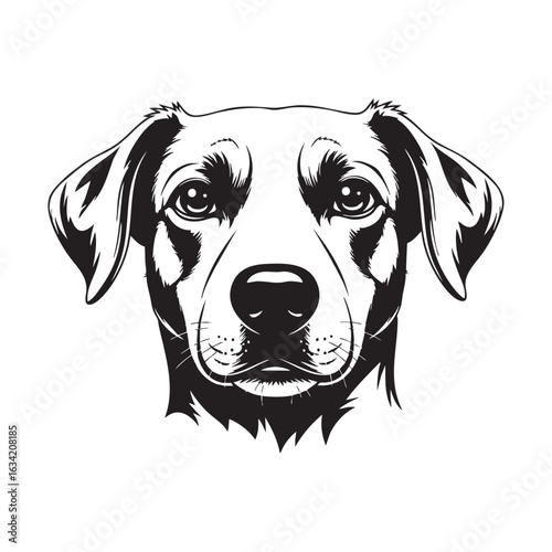 Vector art of a black and white vector illustration of a dogs head with a kind expression looking forward with its ears slightly drooping