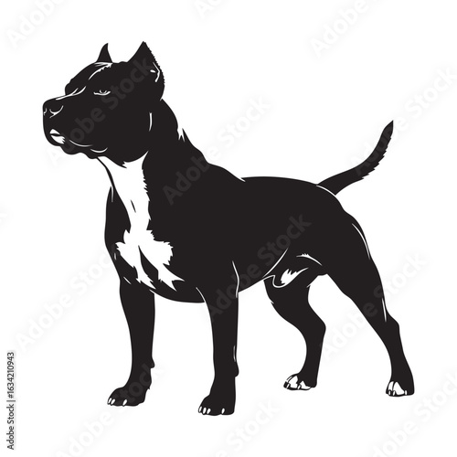 Illustration of a muscular pitbull dog standing alert with a strong stance and noble expression perfect for various design projects