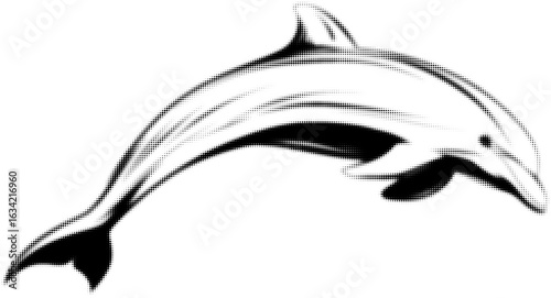 Black and white halftone dolphin illustration with artistic texture