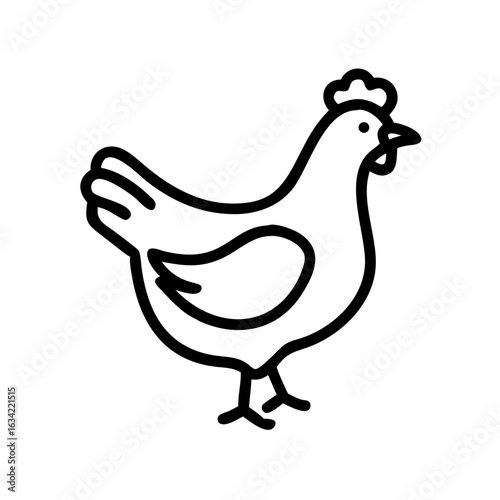 Chicken walking in a farmyard setting during the day, showcasing its feathers and features in a natural environment