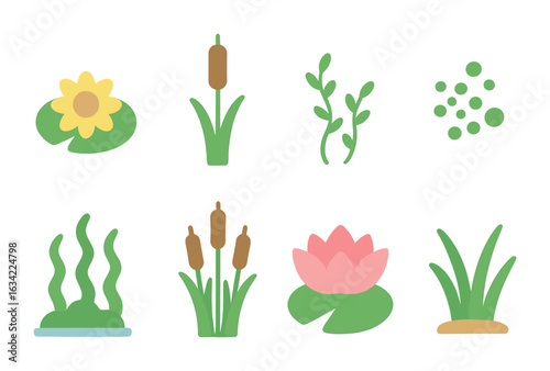 Freshwater Plant Icons. Flat vector mini-illustrations freshwater plants and vegetation in colors children's