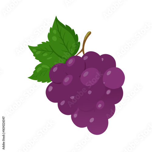 Colorful bunch of ripe grapes with green leaves on a white background