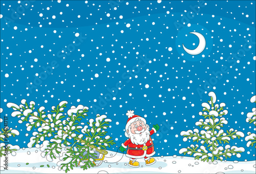 Funny Santa Claus pulling his sleigh with a beautiful green Christmas tree from a snowy winter forest to decorate it for merry holidays, vector cartoon illustration