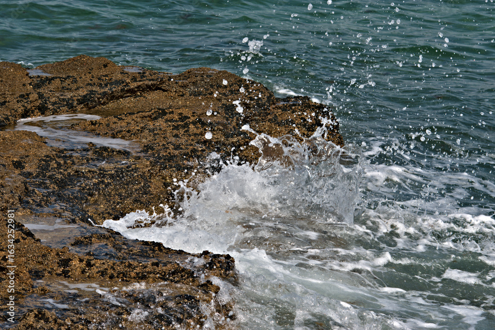 Fototapeta premium The waves and the foam againt the rocks
