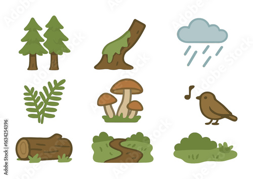 Rainforest Icons for Kids. Flat vector mini-illustrations Temperate rainforest biome in colors children's