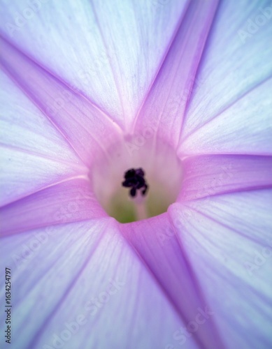 Generated image Close Up of Soft Violet Morning Glory Petals 