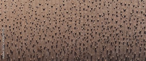 drops of water on cardboard