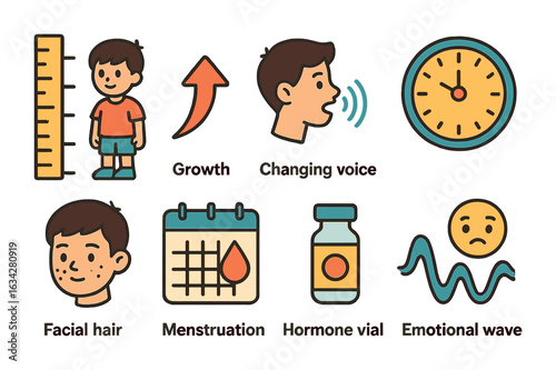 Puberty Icon Set. Flat vector mini-illustrations Puberty and time in colors children's illustrations: height