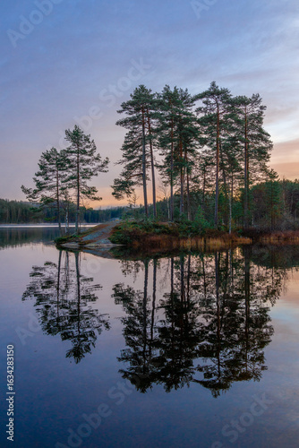 Serene Forest Reflection at Dusk with Tranquil Lake and Majestic Pine Trees in a Nordic Landscape