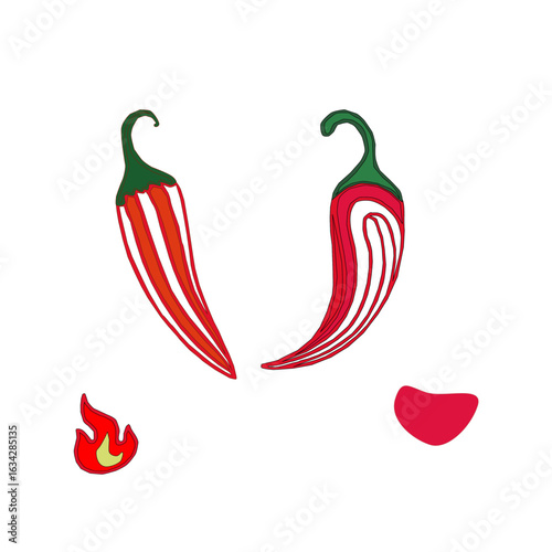 hot chili pepper. Red chili pepper hand drawn illustration. Vibrant red chili pepper illustration. Hand drawn red chili pepper. Red chili pepper doodle