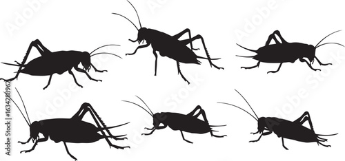 Six Black Silhouette Illustrations of Crickets in Side Profile insect entomology