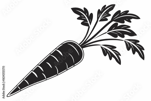 Illustration of fresh spinach leaves isolated on white background