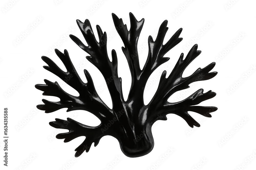 Fototapeta premium Black coral branching against clear backdrop, highlighting delicate marine ecosystem and underwater environmental richness