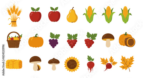Autumn harvest icons flat vector set with fruits and vegetables