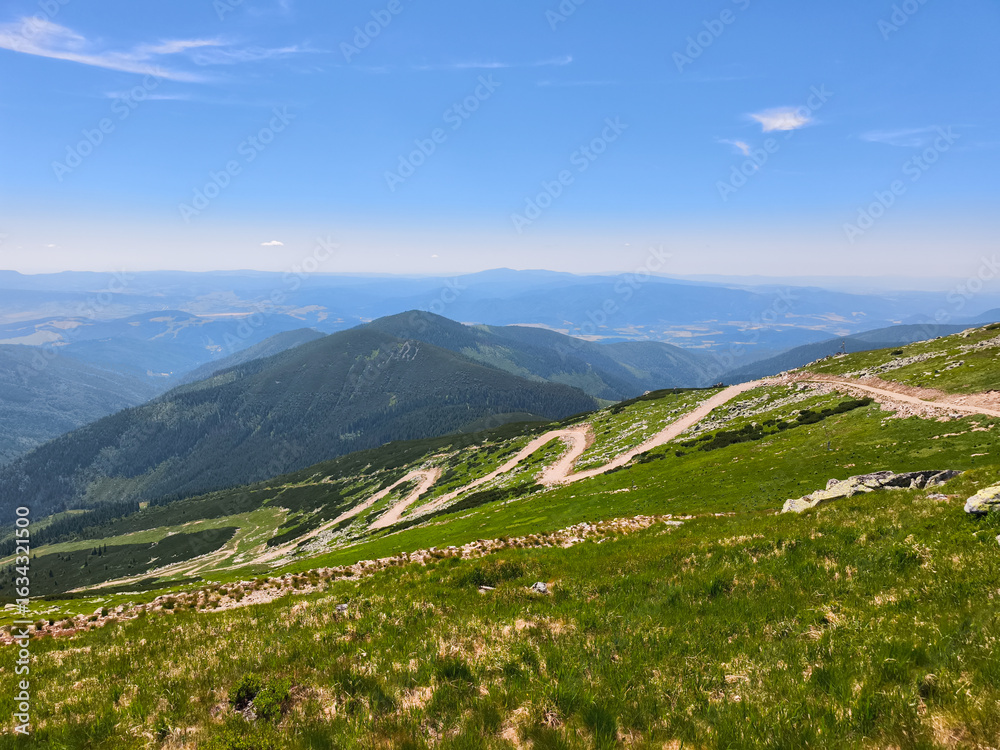 Naklejka premium Winding mountain road traversing lush green slopes in slovakia