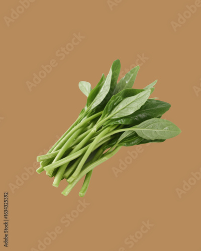 fresh green onion