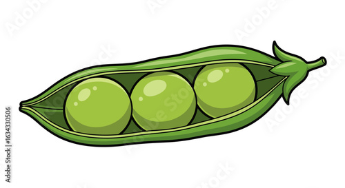 Illustration Vector of Green Pea Pod with Round Peas in Organic Style