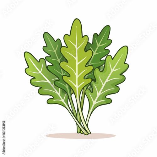 Fresh Arugula Illustration: Vibrant Green Leaves for Healthy Eating and Culinary Designs