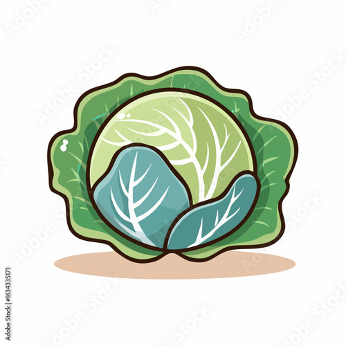 Cartoon Illustration of Fresh Cabbage Head with Detailed Leaf Texture and Color Gradient