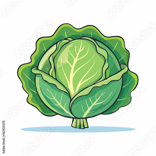 Vibrant green cabbage illustration showcases healthy eating and fresh produce concept