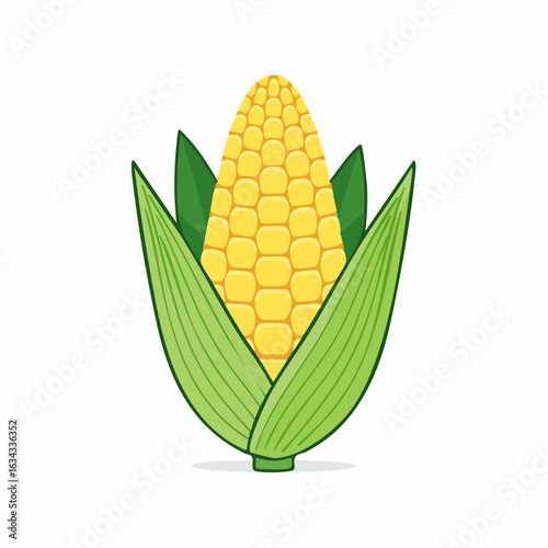 Illustration of a fresh ear of corn with green husk against a white background