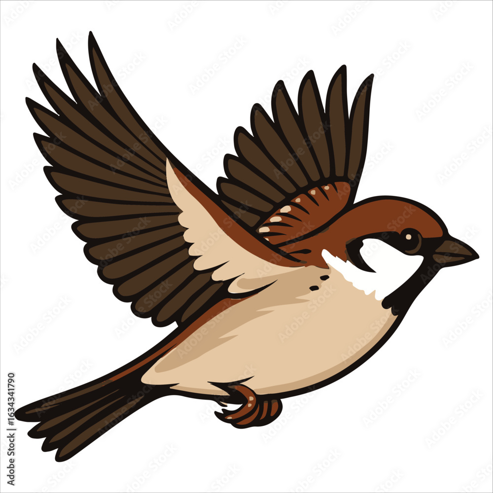 Fototapeta premium Turkey vulture and eagle vector illustration of flying wild birds on white background