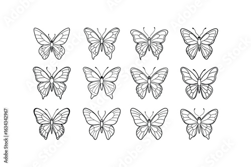 Flying butterfly top view line art vector