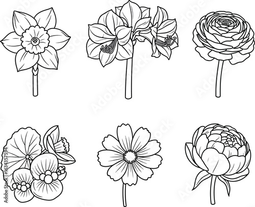Flower line art set elegant botanical collection