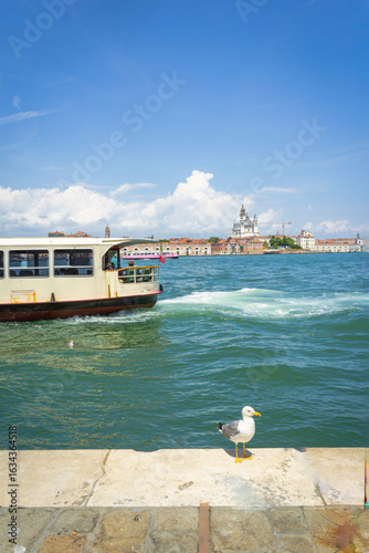 Public ferries transport tourists along the canals of Venezia. Worldwide famous, Venezia is a unique kind of city and UNESCO site.