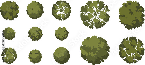 Top-down tree icon, aerial view, green foliage, landscape design, urban planning asset