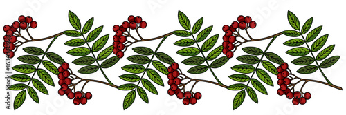 Seamless vector border of stylized rowan branches with red berries and green leaves, perfect for autumnal designs and textile prints.