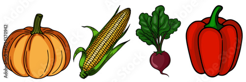 A vibrant vector illustration showcasing a collection of handdrawn vegetables a pumpkin, corn on the cob, beetroot with leaves, and a bell pepper, each rendered with detailed linework and rich co...