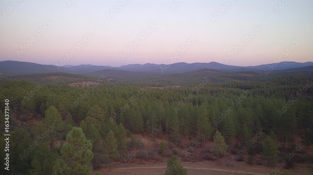 Obraz premium Serene Forest Vista at Dusk: Rolling Hills and Soft Pastel Sky