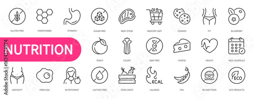 Nutrition icon set. Gluten free, sugar free, meat, fit, blueberry, meal schedule, eco products, adiposity, fried egg, nutritionist, lactose free, calories, etc. Vector illustration. Editable stroke.