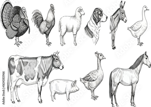 Detailed Farm Animals Hand-Drawn Sketch Set