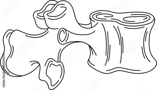 Human one vertebra. Medicine. Body part.Line art isolated icon symbol.Drawing vector illustration.