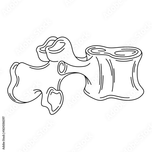 Human one vertebra. Medicine. Body part.Line art isolated icon symbol.Drawing vector illustration.