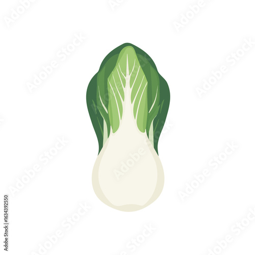 Flat 2D vector illustration of a sliced bok choy with modern design elements such as soft gradients, layered shadows, and depth effects. Clean, minimal style, isolated on white background, EPS 