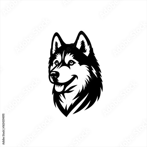 Husky dog head isolated on white background