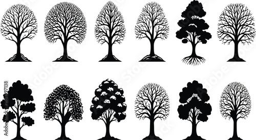 Collection of Tree Silhouettes Vector Set

