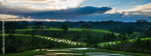Majestic Sunrise over Tegalalang Rice Terraces, Bali: Breathtaking Drone Footage