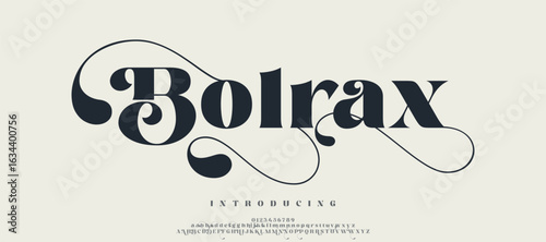 Bolrax modern stylish typography letter logo design