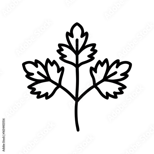 Parsley leaf illustration in minimalist line art style  