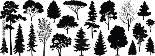 Tree silhouettes collection, black botanical vector, coniferous deciduous bare trees, nature clipart set, forest design elements, foliage variety