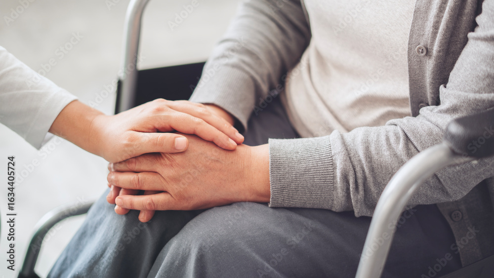 Fototapeta premium Young carer giving helping hands for the elderly woman